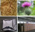 Milk Thistle Extract