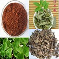 Epimedium Extract