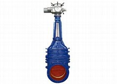 Cast Iron Gate Valve  