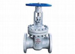 Cast Steel and Stainless Steel Gate Valve