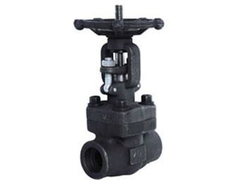 Forged Steel Gate Valve  