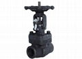 Forged Steel Gate Valve