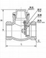 Cast Iron Check Valve 1