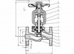 Bellow Seal Globe Valve  GG25 