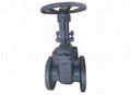 125LB OS & Y Gate Valve  Cast Iron Gate