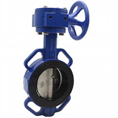 Worm Gear Operated Butterfly Valve