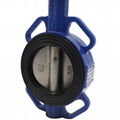 Worm Gear Operated Butterfly Valve 2