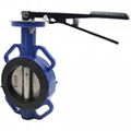 Ductile Iron Universal Butterfly Valve