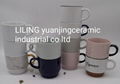 ceramic mugs 5