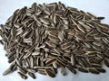 sunflower seed of type 363