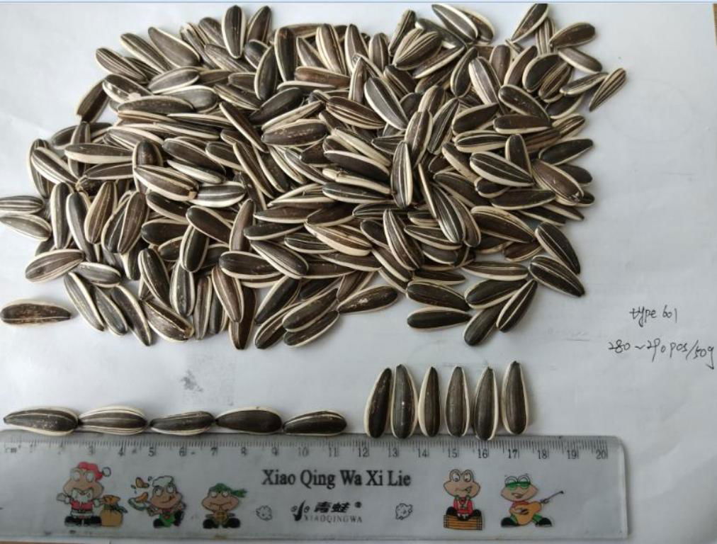 280-290pcs/50g