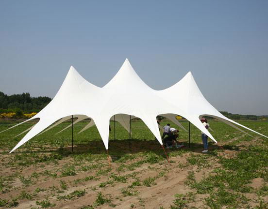  Canvas Star Tent  3