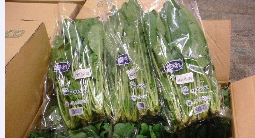 Food Grade Anti Fog Plastic Bag For Vegetables Retain  Fresh 1