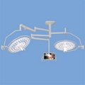 Ceiling Mount Double Satellites LED