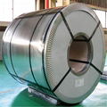 Galvanized steel coil  4