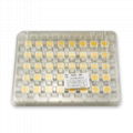 High Brightness COB LED 2-360W COB1313 1919 2828 3838 1