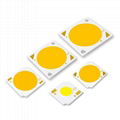 High Brightness COB LED 2-360W COB1313 1919 2828 3838 3