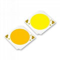 High Intensity 10W 15W COB LED 1313 Bridgelux Chip LED