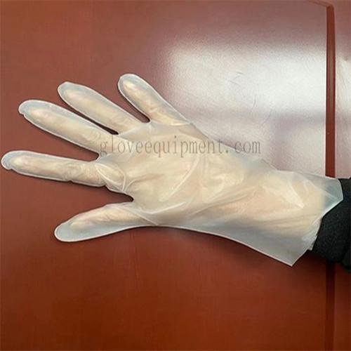 TPE Gloves    Disposable Gloves Supplier 