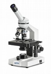 德國科恩KERN OBS-1復合式顯微鏡