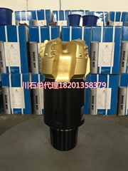 製造商價格Api 8 1/2“ Pdc石油鑽具鑽頭 