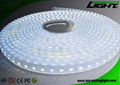 Cree Chip LED Flexible Strip Lights High Lumen Sillicone Material 1