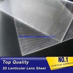 16 lpi lenticular lens array-blanks PS 3d lenticular lenses sheet buy online