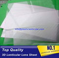 3D 50 LPI lenticular sheet lens motion