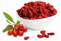 Goji Extract 2