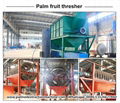 Small scale palm fruit thresher machine