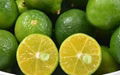 Citrus Nobiletin 1