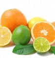 Citrus Nobiletin 3