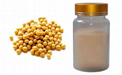 Soybean Isoflavones