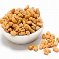 Fenugreek extract