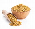 Fenugreek extract 2