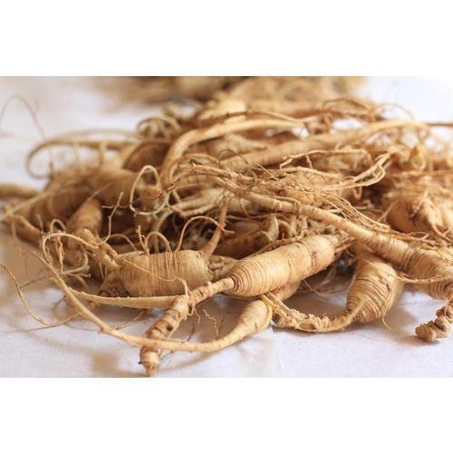 Panax Ginseng Extract 2