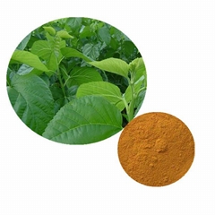 Mulberry Extract