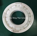 Ceramic Ball Bearing Used In Chemical Machine 1