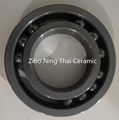 Ceramic Ball Bearing Used In Chemical Machine 4