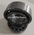 Ceramic Ball Bearing Used In Chemical Machine 5