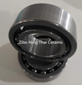 Ceramic Ball Bearing Used In Chemical Machine