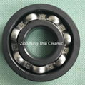 Si3N4 Ceramic Ball Bearing 2