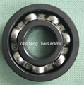 Si3N4 Ceramic Ball Bearing