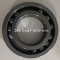 Si3N4 Ceramic Ball Bearing 3