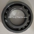 Si3N4 Ceramic Ball Bearing