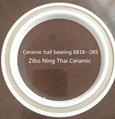 ZrO2 Ceramic Ball Bearing 3