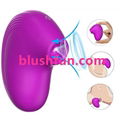 Blushfun Sucking Masager for Women - Medical Silicone Vibrator USB Rechargeable 3