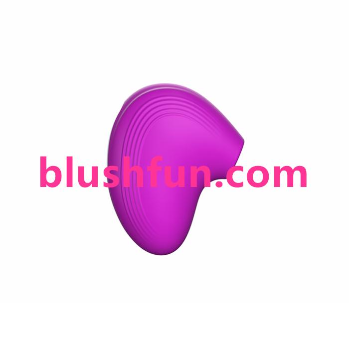 Sucking Vibration Clitoris Stimulator Clitoral Pump Vibrator for Women 4