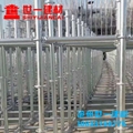隧道橋梁專用熱鍍鋅圓盤腳手架 橋梁隧道支撐專用 隧道工程施工專用