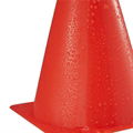 Training Cone 2